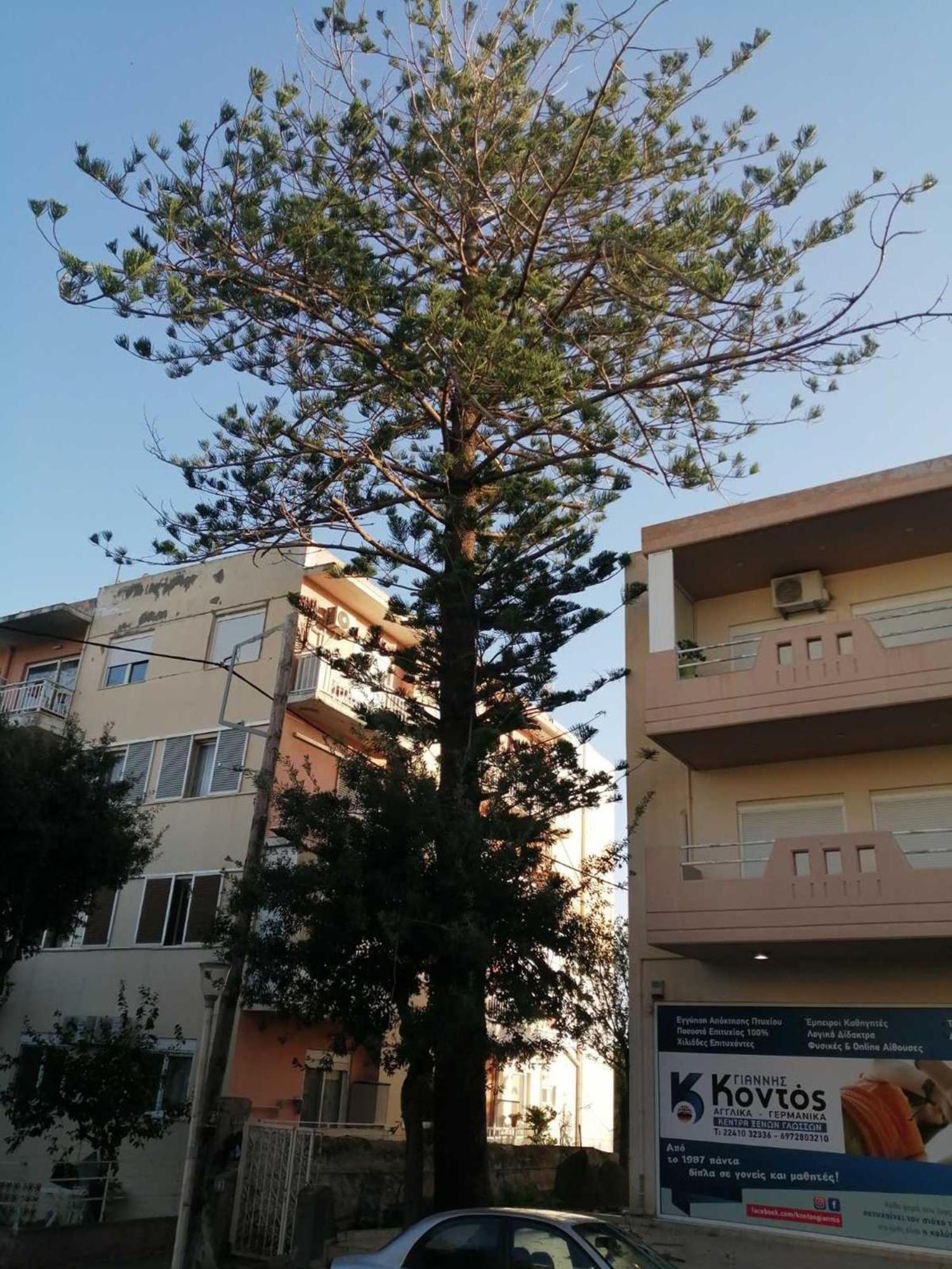 Apartment 29 Rhodes City Exterior foto